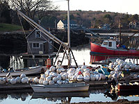 Lobster Cove, Annisquam (summer population: 500)